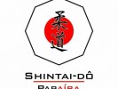 /arquivos/pessoas/080807270120logo_shintaido_133_100.jpg