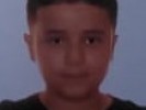/arquivos/pessoas/102730150319pedro_133_100.jpg