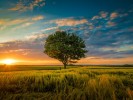 /arquivos/pessoas/112322180723Paisagem-1_133_100.jpg