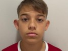 /arquivos/pessoas/114225270126lucas_borges_133_100.jpg