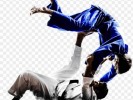 /arquivos/pessoas/145354120524judo-11563154202bgctifuuxb_133_100.jpg
