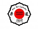 /arquivos/pessoas/160325120725logo_asulcaj_magno_sensei_133_100.jpg