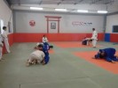 /arquivos/pessoas/174002171019foto_treino_23_02_133_100.jpg
