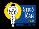 /arquivos/pessoas/181307280525logo_seidOkan_133_100.jpg