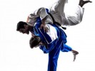 /arquivos/pessoas/183923260525JUDO_133_100.jpg