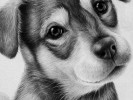 /arquivos/pessoas/2119031706249f03ddb8b9f0fda6acc6f9d037aa80bf_133_100.jpg