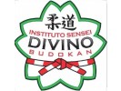 /arquivos/pessoas/235706120325logo_div_133_100.jpg